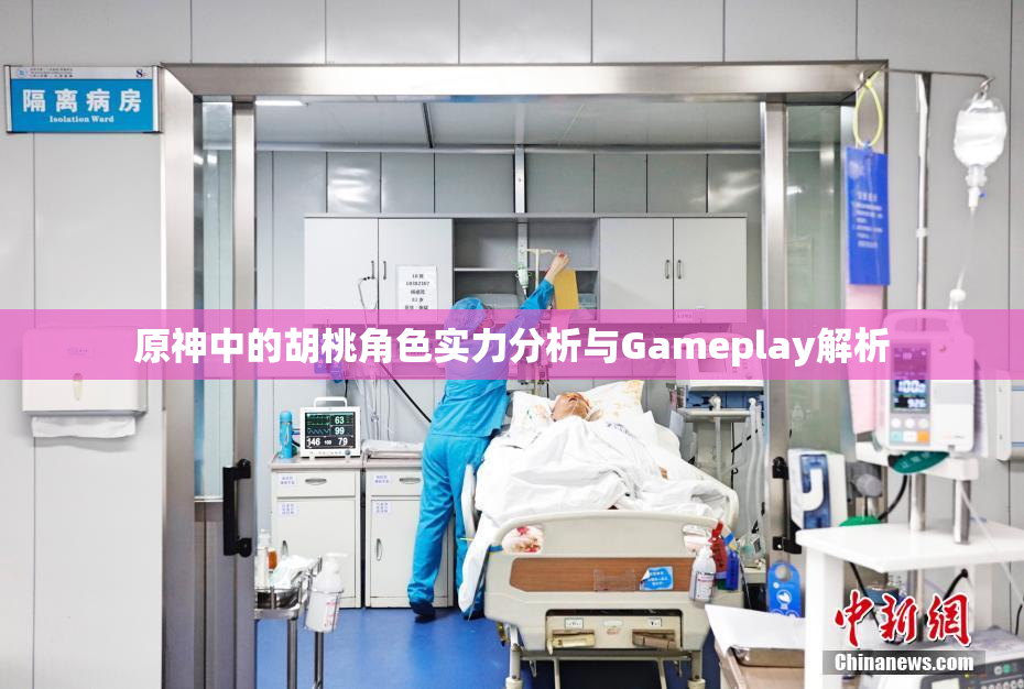 原神中的胡桃角色实力分析与Gameplay解析