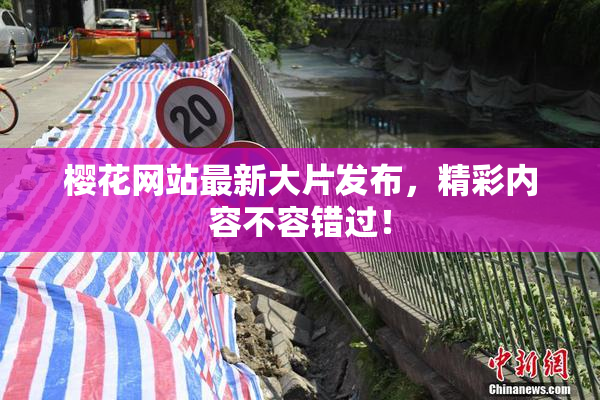 樱花网站最新大片发布，精彩内容不容错过！