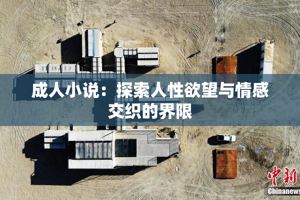 成人小说：探索人性欲望与情感交织的界限