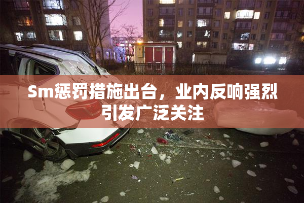 Sm惩罚措施出台，业内反响强烈引发广泛关注