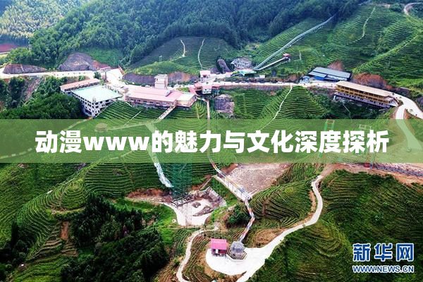 动漫www的魅力与文化深度探析