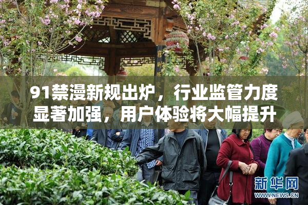 91禁漫新规出炉，行业监管力度显著加强，用户体验将大幅提升