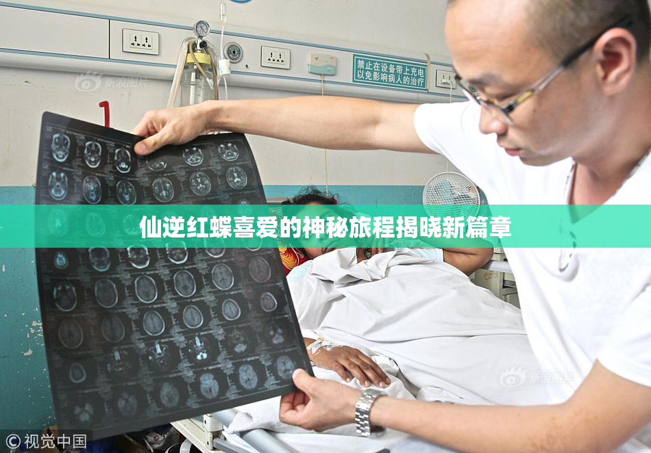 仙逆红蝶喜爱的神秘旅程揭晓新篇章