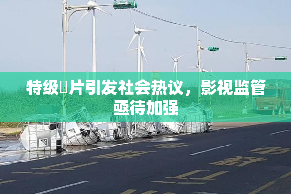 特级婬片引发社会热议，影视监管亟待加强