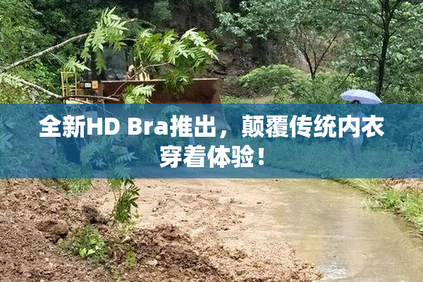 全新HD Bra推出，颠覆传统内衣穿着体验！