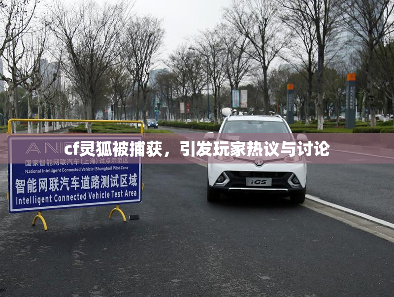cf灵狐被捕获，引发玩家热议与讨论