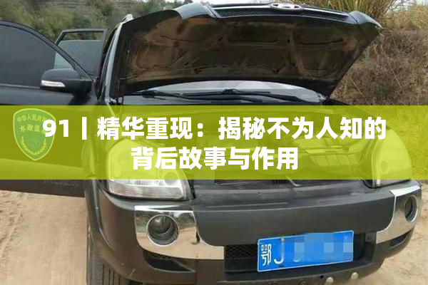 91丨精华重现：揭秘不为人知的背后故事与作用