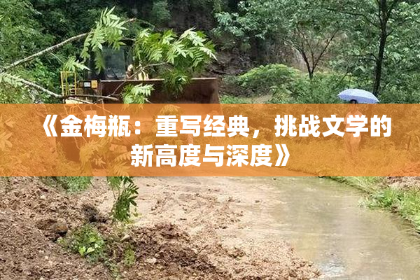 《金梅瓶：重写经典，挑战文学的新高度与深度》