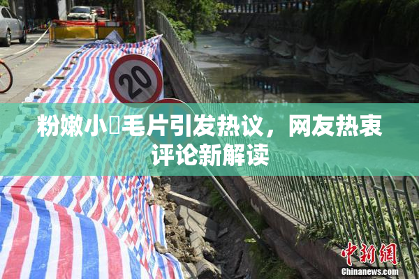 粉嫩小泬毛片引发热议，网友热衷评论新解读