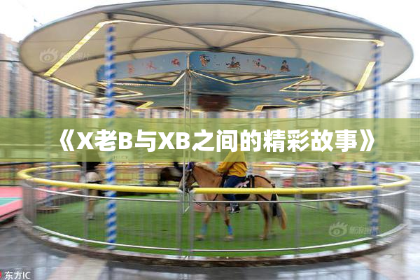 《X老B与XB之间的精彩故事》