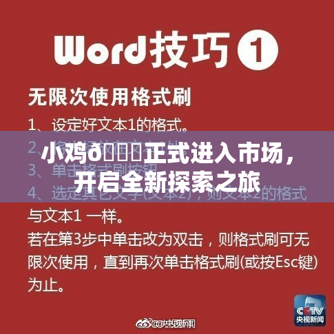 小鸡🐔正式进入市场，开启全新探索之旅