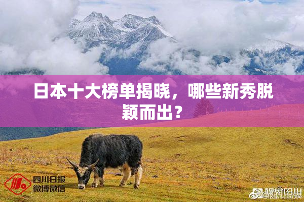 日本十大榜单揭晓，哪些新秀脱颖而出？
