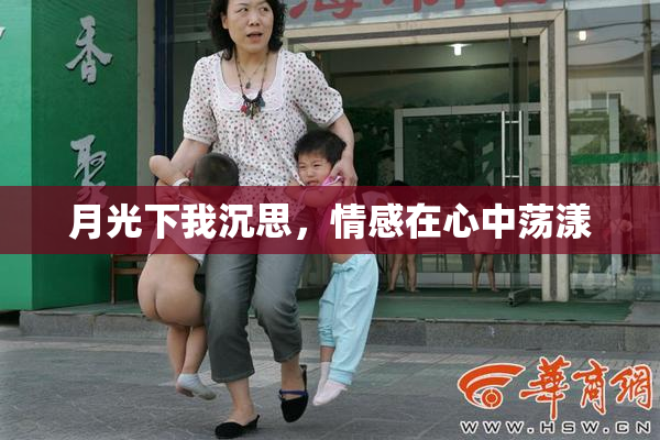 月光下我沉思，情感在心中荡漾