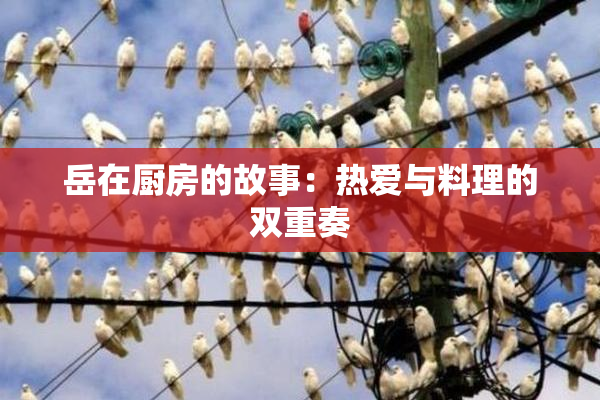 岳在厨房的故事：热爱与料理的双重奏