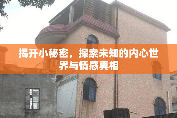 揭开小秘密，探索未知的内心世界与情感真相