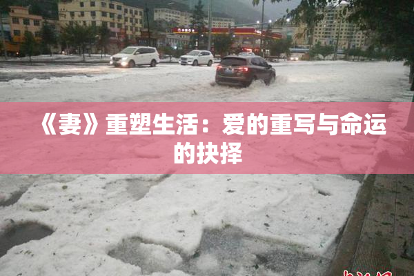 《妻》重塑生活：爱的重写与命运的抉择