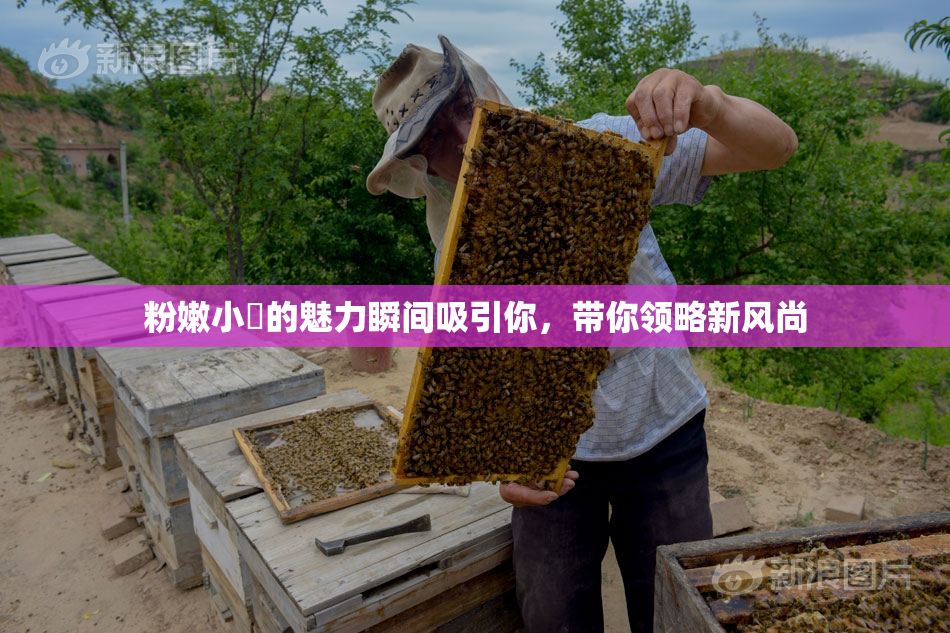 粉嫩小泬的魅力瞬间吸引你，带你领略新风尚