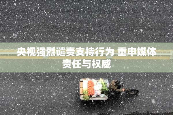 央视强烈谴责支持行为 重申媒体责任与权威