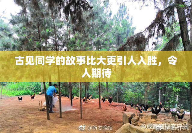 古见同学的故事比大更引人入胜，令人期待