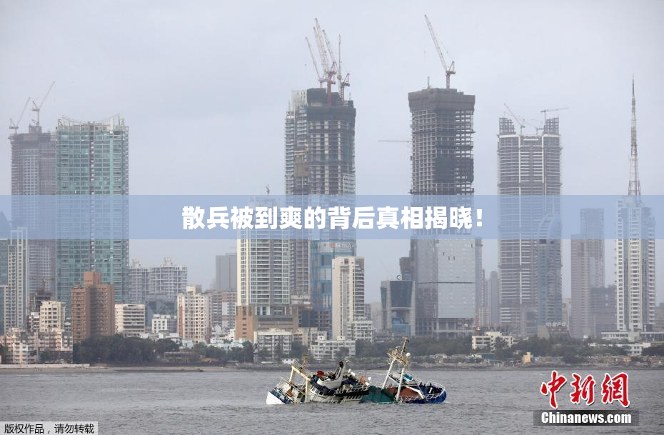 散兵被到爽的背后真相揭晓！