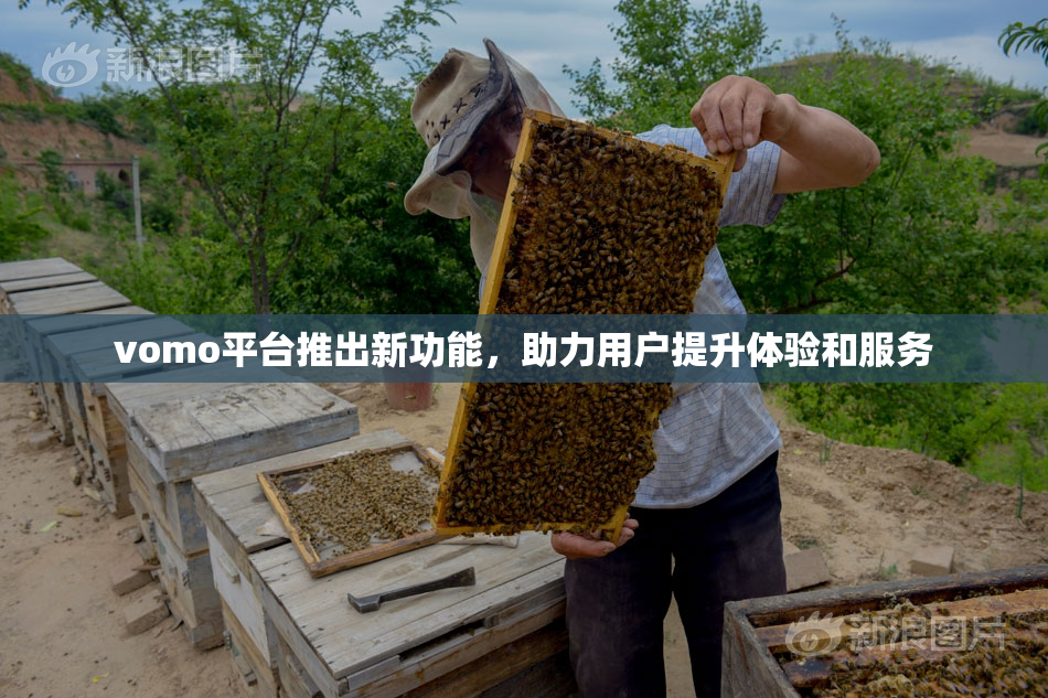 vomo平台推出新功能，助力用户提升体验和服务