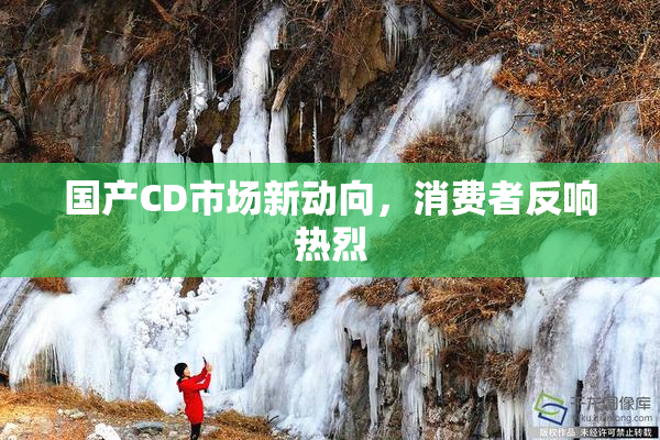 国产CD市场新动向，消费者反响热烈