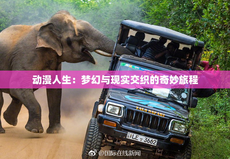 动漫人生：梦幻与现实交织的奇妙旅程