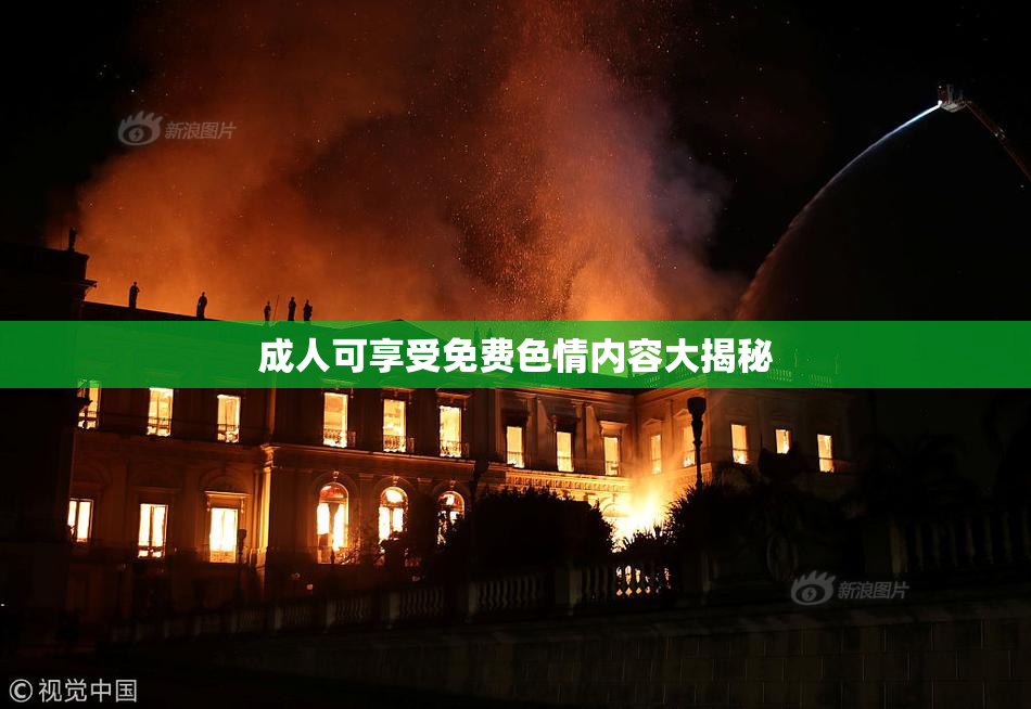 成人可享受免费色情内容大揭秘