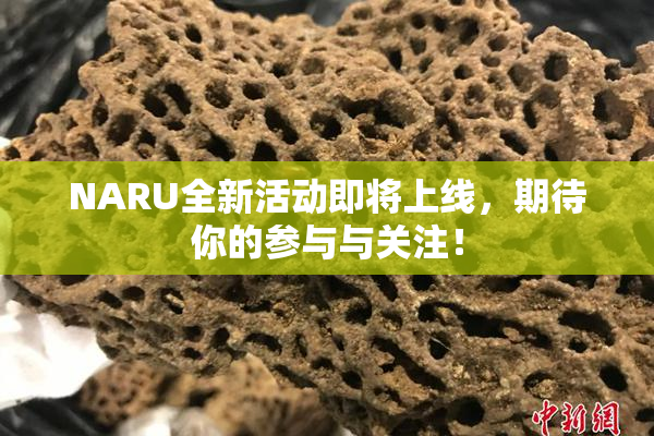 NARU全新活动即将上线，期待你的参与与关注！