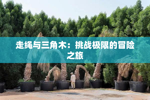 走绳与三角木：挑战极限的冒险之旅