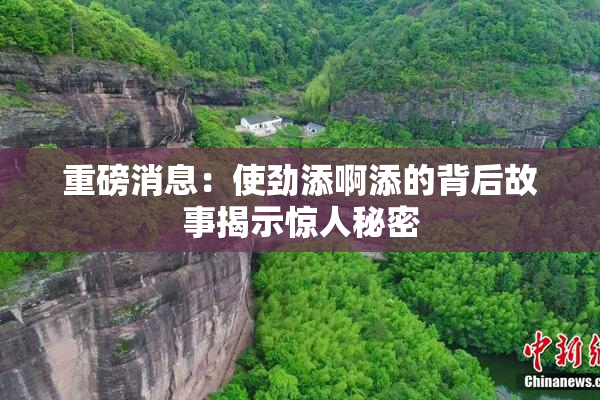 重磅消息：使劲添啊添的背后故事揭示惊人秘密
