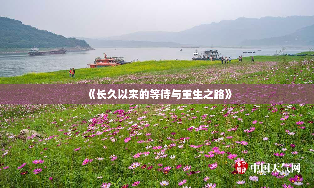 《长久以来的等待与重生之路》