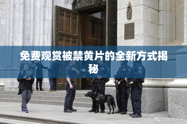 免费观赏被禁黄片的全新方式揭秘