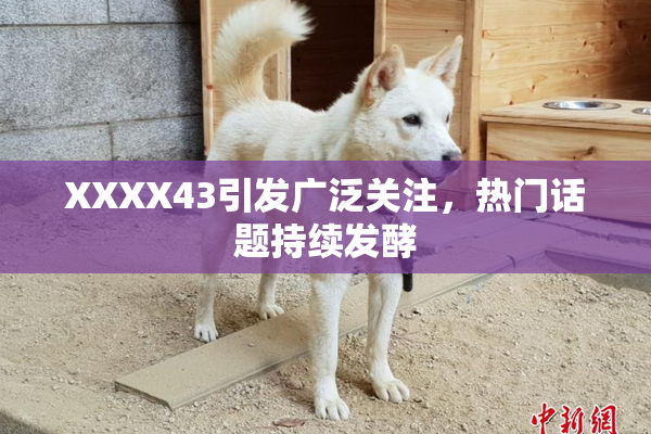 XXXX43引发广泛关注，热门话题持续发酵