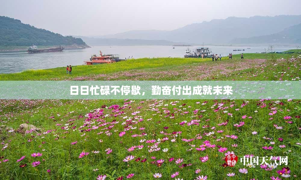 日日忙碌不停歇，勤奋付出成就未来