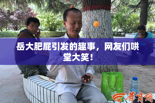 岳大肥屁引发的趣事，网友们哄堂大笑！