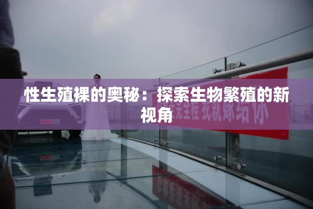 性生殖裸的奥秘：探索生物繁殖的新视角