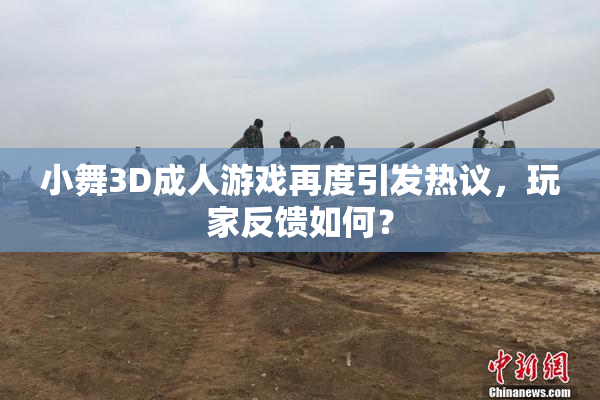 小舞3D成人游戏再度引发热议，玩家反馈如何？