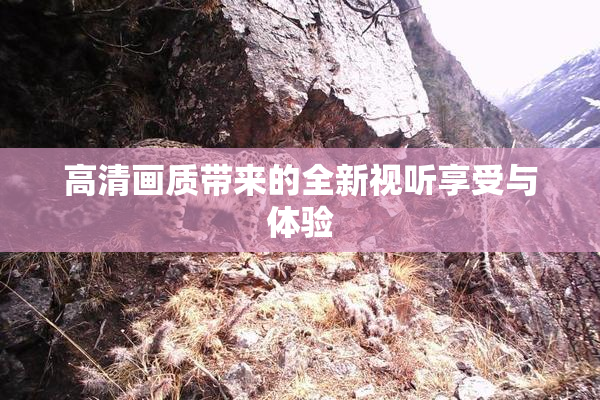 高清画质带来的全新视听享受与体验