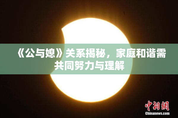 《公与媳》关系揭秘，家庭和谐需共同努力与理解
