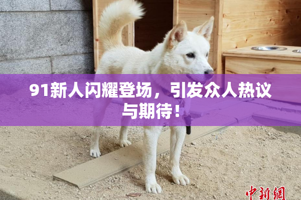 91新人闪耀登场，引发众人热议与期待！