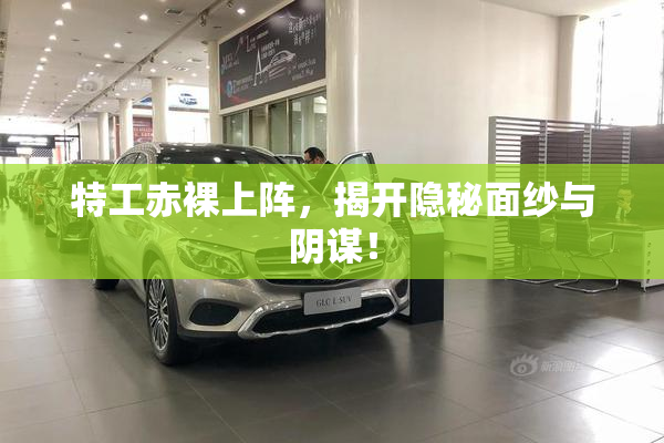 特工赤裸上阵，揭开隐秘面纱与阴谋！