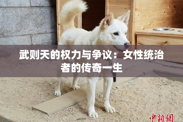 武则天的权力与争议：女性统治者的传奇一生