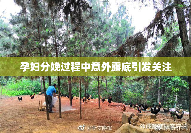 孕妇分娩过程中意外露底引发关注