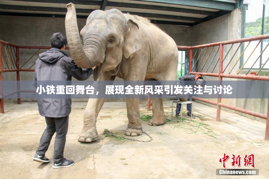 小铁重回舞台，展现全新风采引发关注与讨论