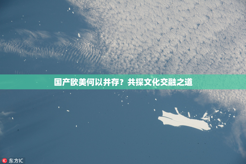 国产欧美何以并存？共探文化交融之道
