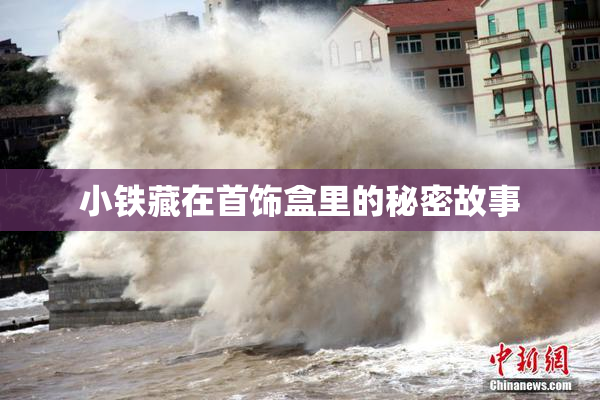 小铁藏在首饰盒里的秘密故事