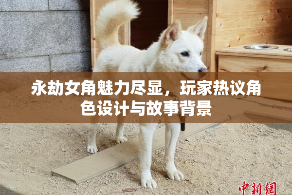 永劫女角魅力尽显，玩家热议角色设计与故事背景