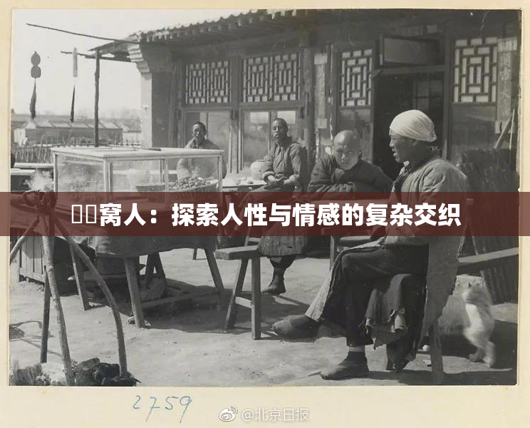 妺妺窝人：探索人性与情感的复杂交织