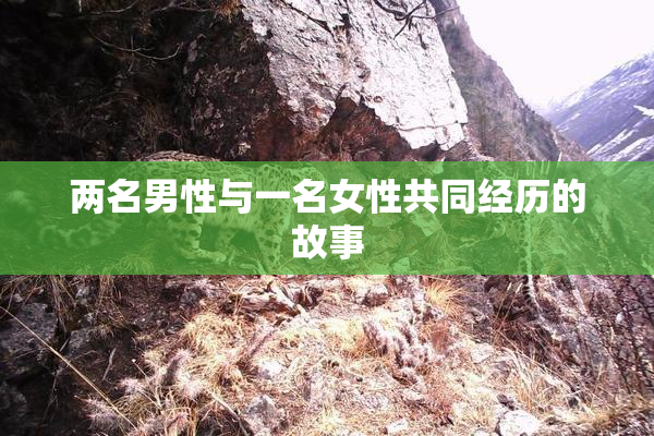 两名男性与一名女性共同经历的故事